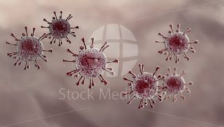 Coronavirus - Stock Media Bay