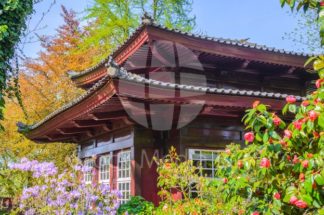 Japanese Garden tea house - Stock Media Bay