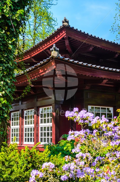 Japanese Garden tea house - Stock Media Bay