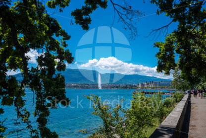 View on Lake Geneva, fountain in summer - Stock Media Bay